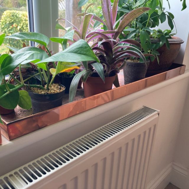 copper houseplant trays. made to any size.
#sheetmetal #bespoke #bristol #copper #houseplants #houseplant